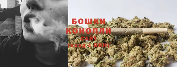 МДПВ Бронницы