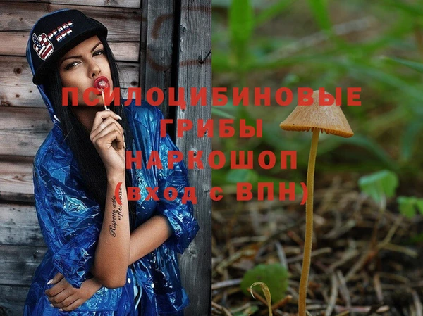 MESCALINE Бородино