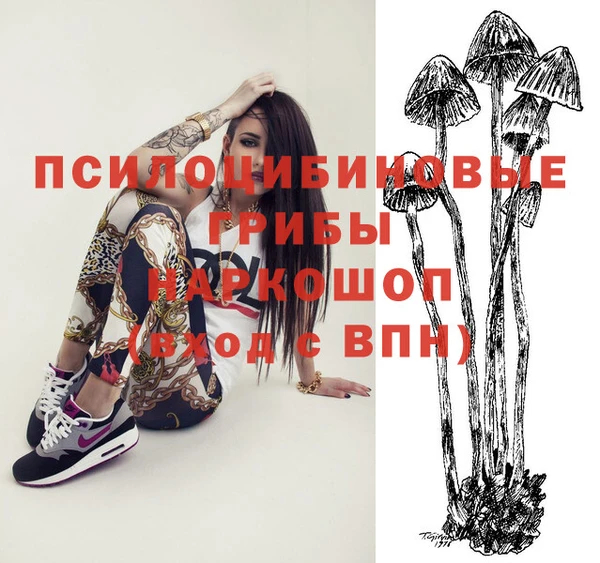 МДПВ Бронницы