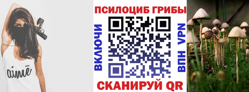 Галлюциногенные грибы прущие грибы  гидра как зайти  Чита 